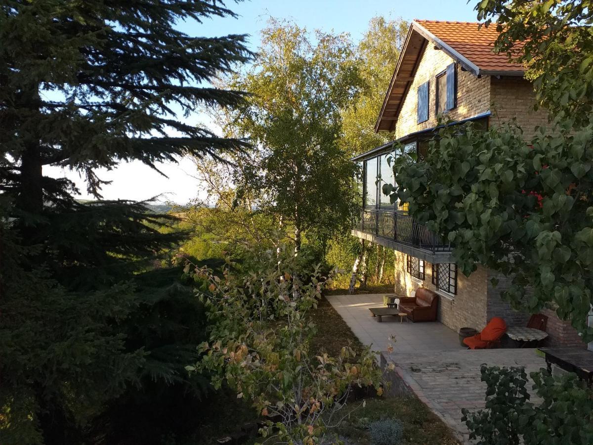 Lodging Vidmar Sremski Karlovci Exterior foto