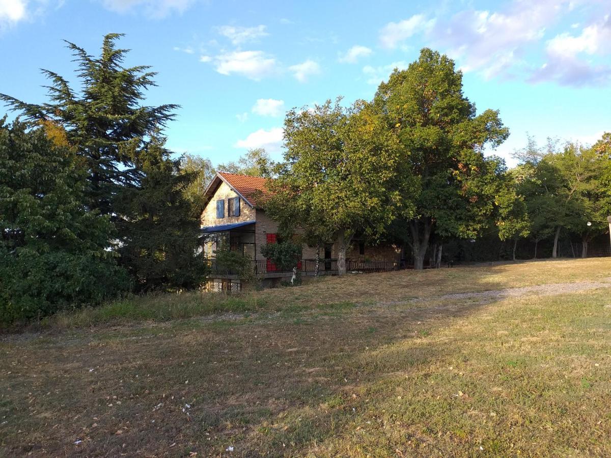Lodging Vidmar Sremski Karlovci Exterior foto