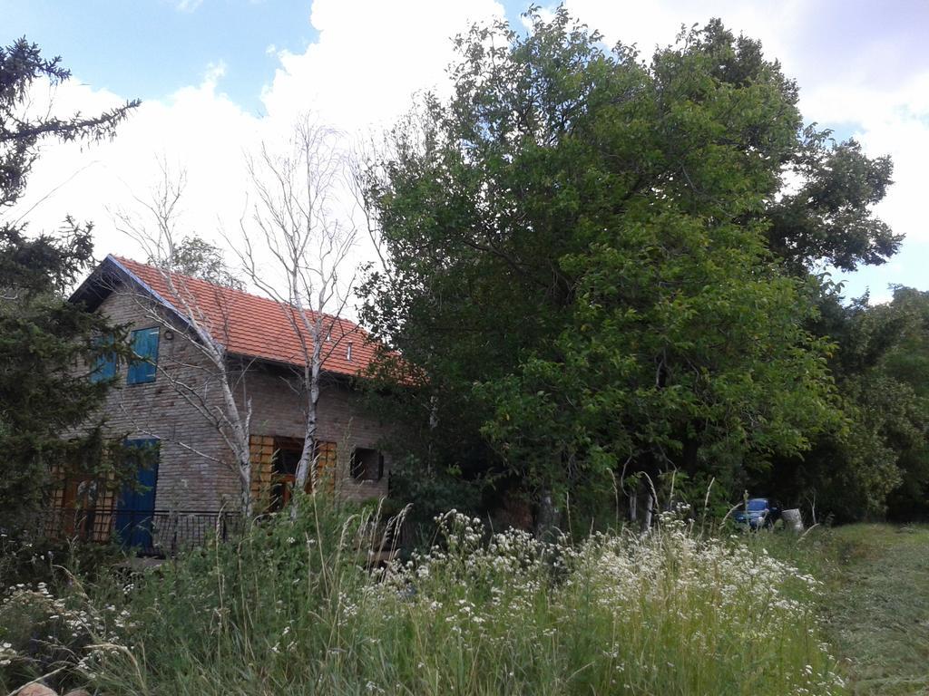 Lodging Vidmar Sremski Karlovci Exterior foto