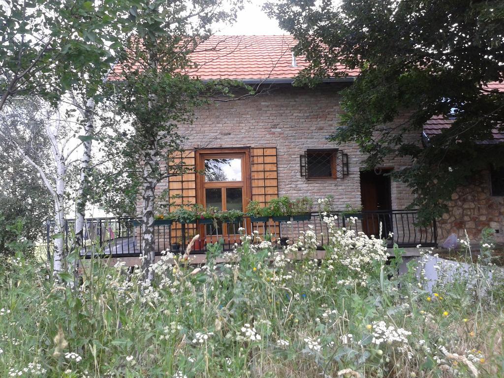 Lodging Vidmar Sremski Karlovci Exterior foto